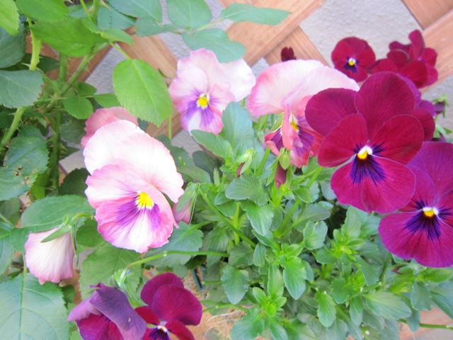 c0202870_9314097.jpg