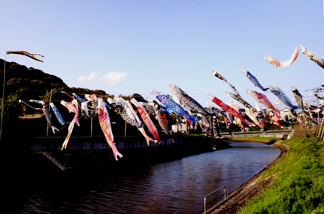 c0069372_131345.jpg