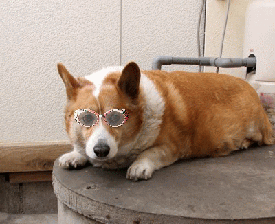 f0003174_11152144.gif