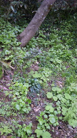 c0022275_18383834.jpg