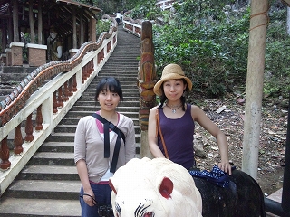 d0144077_330524.jpg