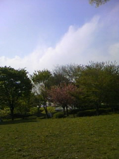 f0100480_16213257.jpg