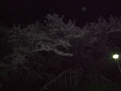 f0039281_09388.jpg