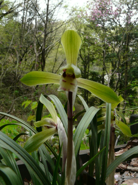 e0145782_17501100.jpg