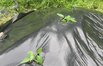 f0003283_14472414.jpg