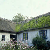 b0177884_6391252.jpg
