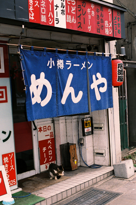 e0051186_932898.jpg