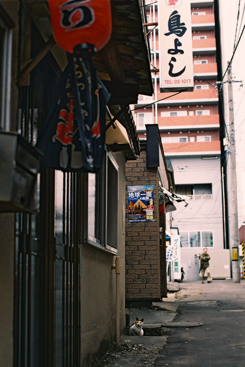 e0051186_933672.jpg