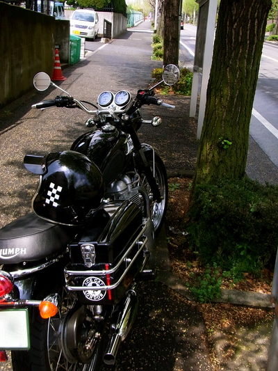 d0229598_22121546.jpg