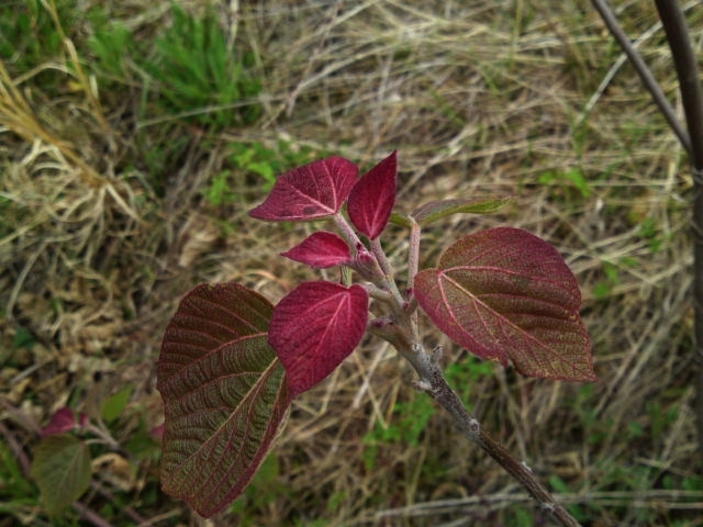 a0031000_01540100.jpg