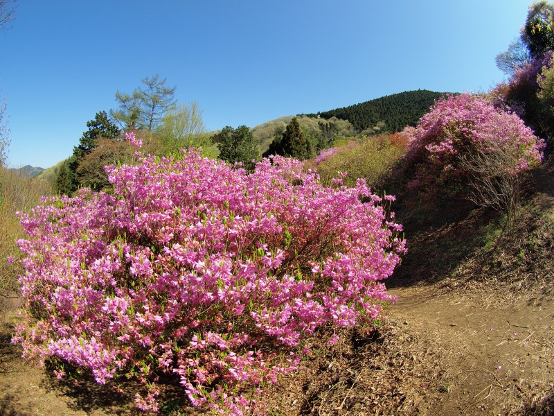 f0224100_23475230.jpg