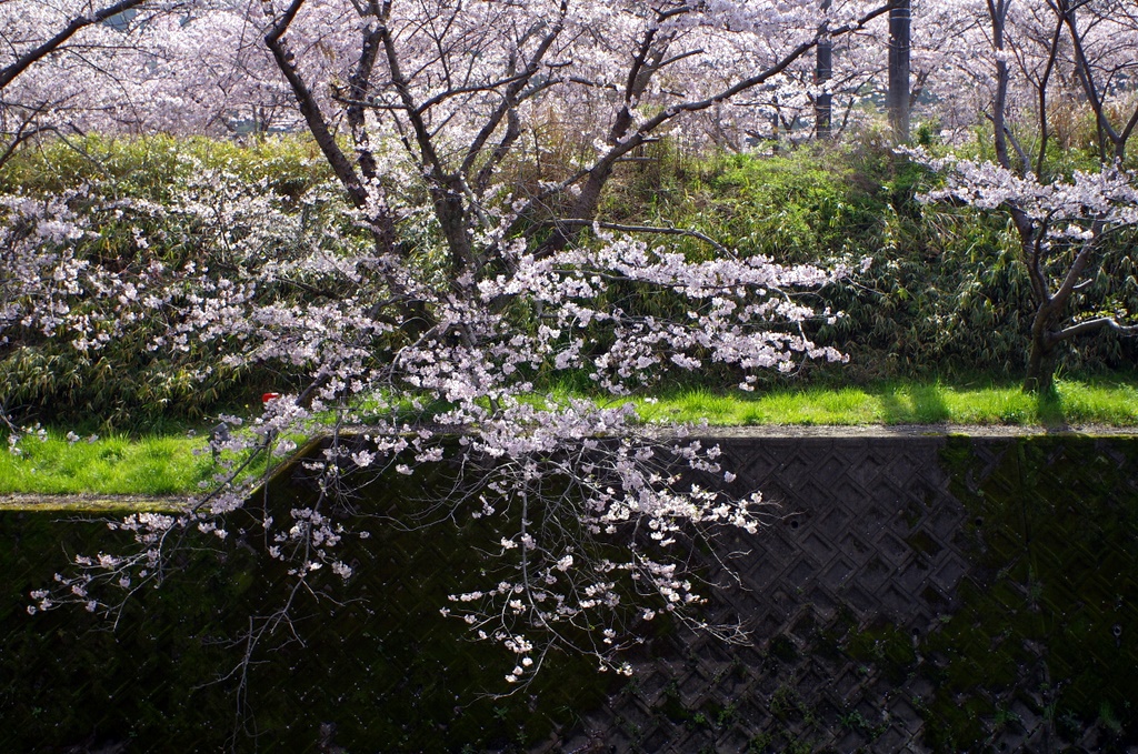 b0138101_20302033.jpg