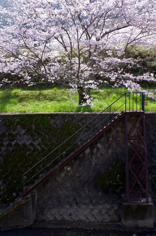 b0138101_20303874.jpg