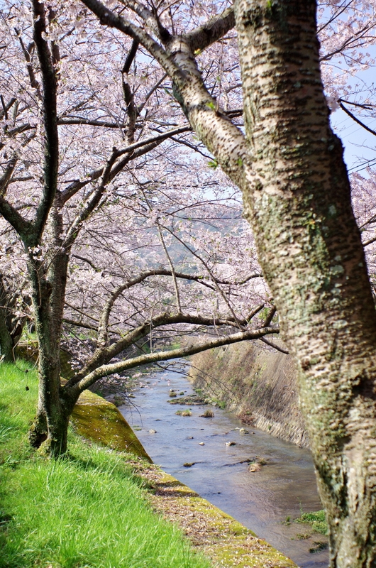 b0138101_2030810.jpg