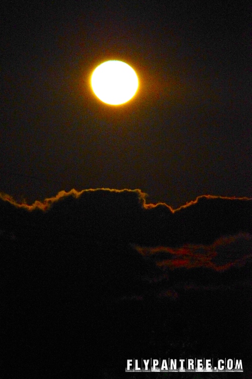 c0228101_12255915.jpg