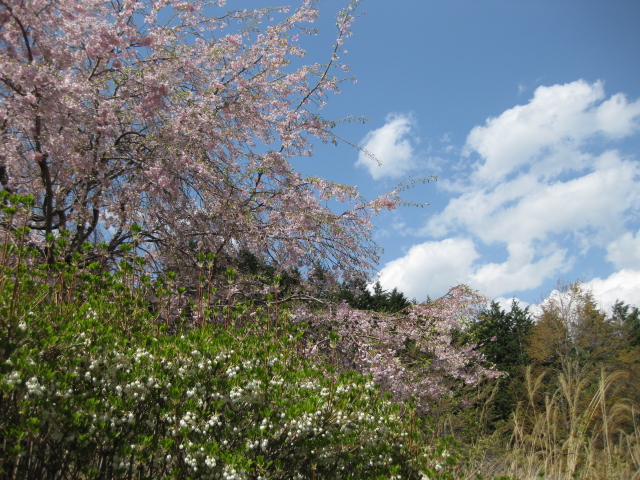 f0236201_85457.jpg