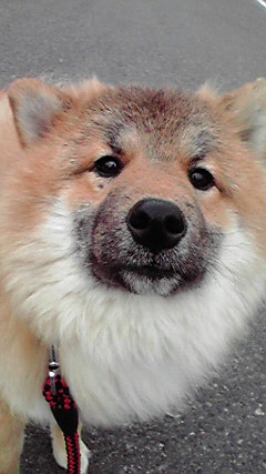 a0134004_23263952.jpg