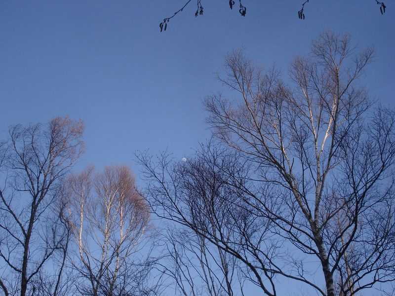 b0148106_6155727.jpg