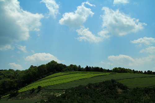 b0014607_21242531.jpg