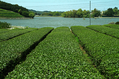 b0014607_21244379.jpg