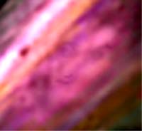 e0103408_022154.jpg