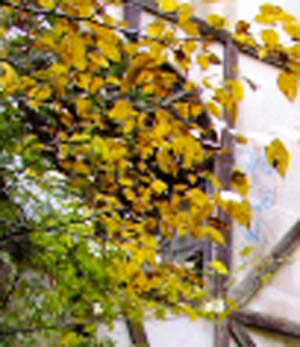 e0103408_12102291.jpg
