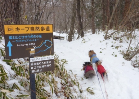 e0078510_20413849.jpg