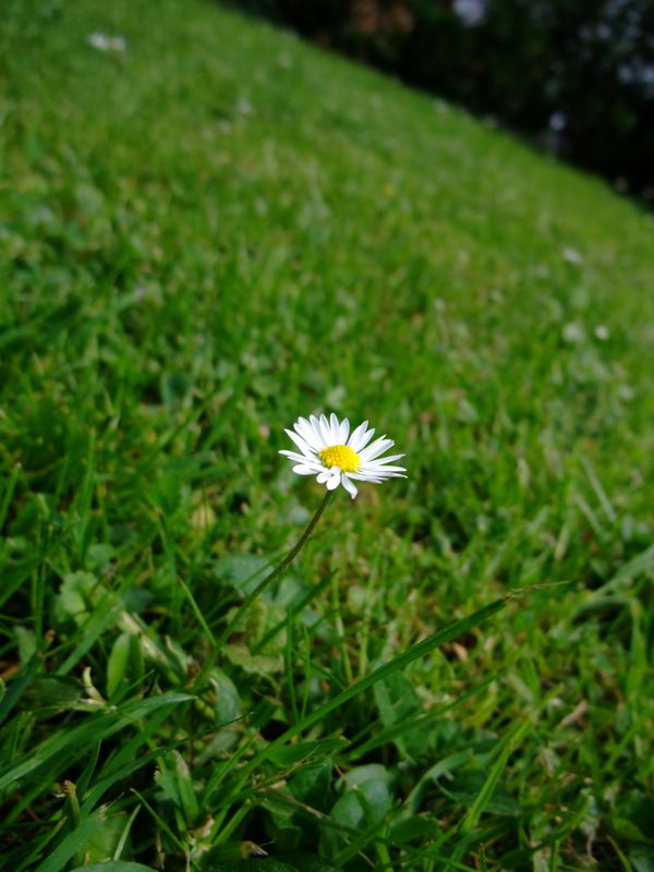 c0167813_571535.jpg