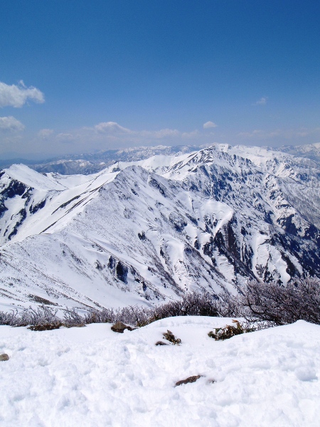 c0177814_13312990.jpg