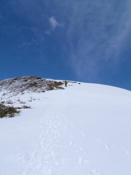 c0177814_13334644.jpg