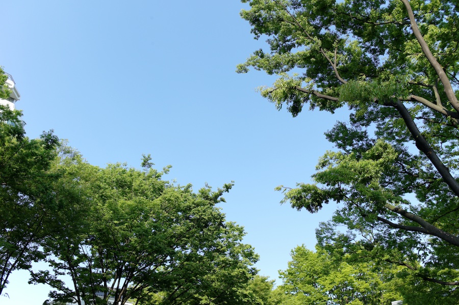f0056516_123740.jpg