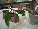 f0139520_0362490.jpg