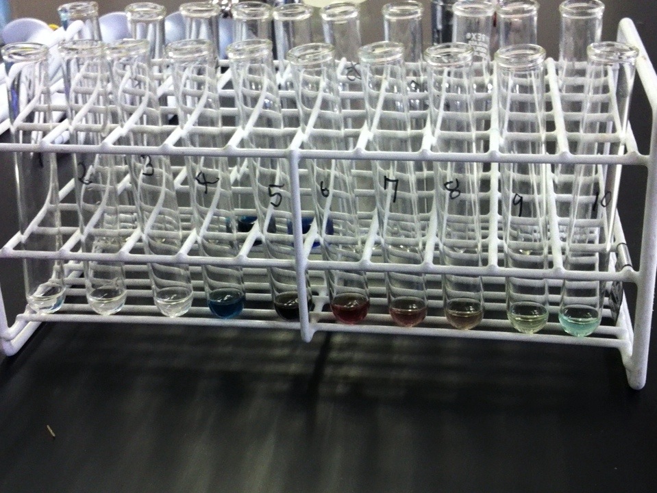 f0162720_3174014.jpg