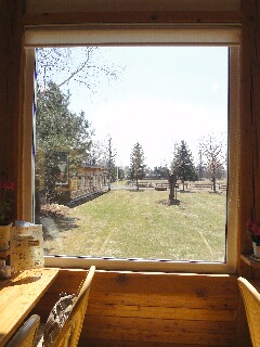 f0181524_23471059.jpg