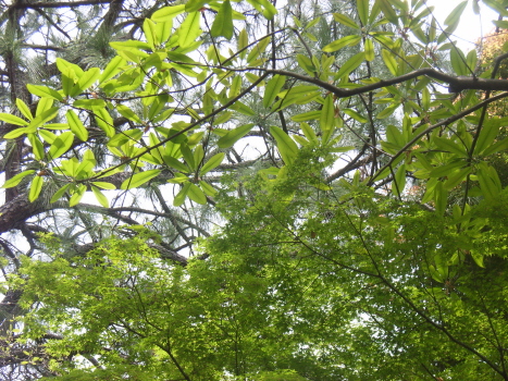 f0108825_1035912.jpg