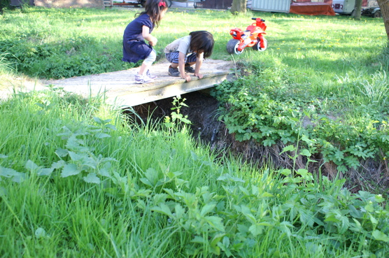 f0229725_5423222.jpg