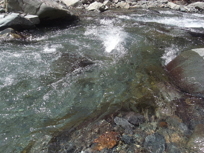 f0103126_23255268.jpg