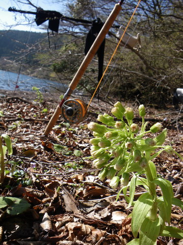 c0202727_61725.jpg
