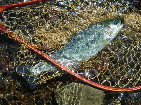 c0202727_6301388.jpg