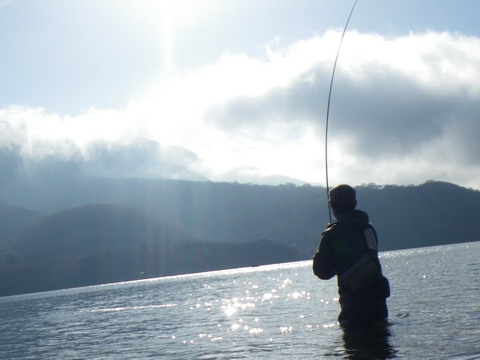 c0202727_636212.jpg