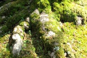 c0212929_16271244.jpg