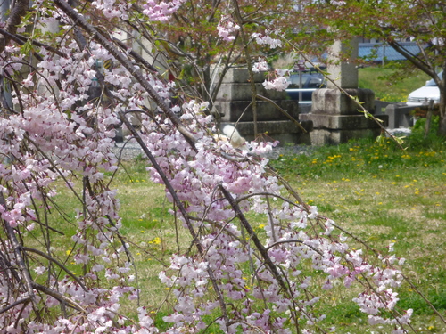 b0138430_20382610.jpg
