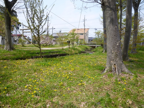b0138430_20505357.jpg