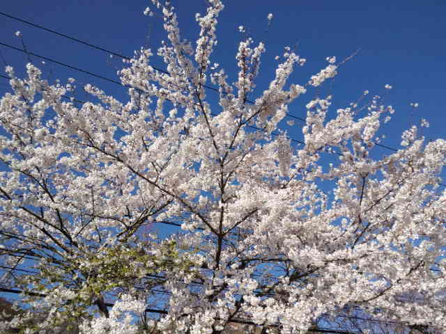 b0206831_185450100.jpg