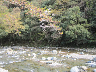 f0224732_2017072.jpg