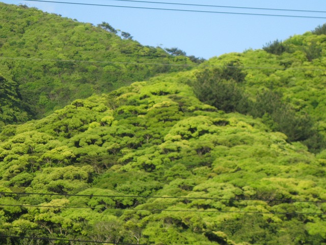 e0062635_22204910.jpg