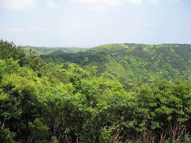 e0062635_2220786.jpg