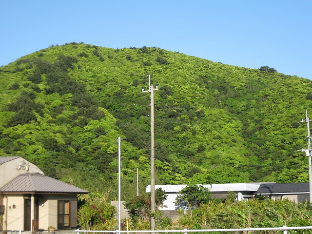 e0062635_2221130.jpg
