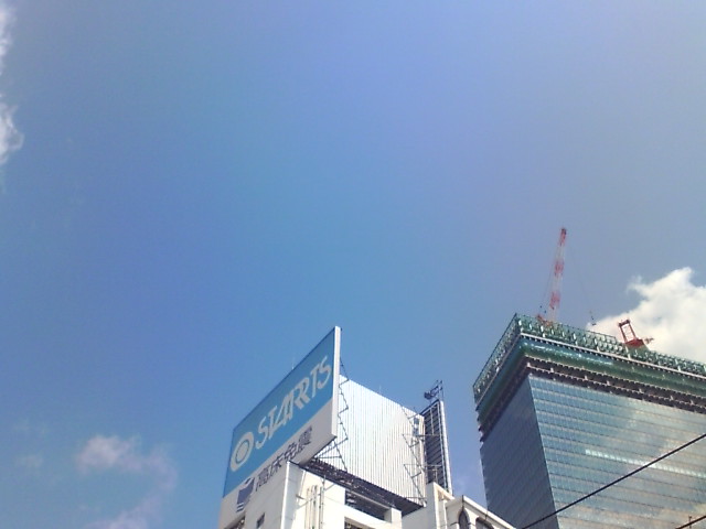 a0022038_1014852.jpg