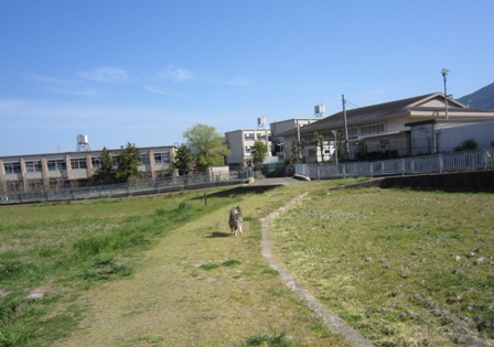e0198839_22372966.jpg